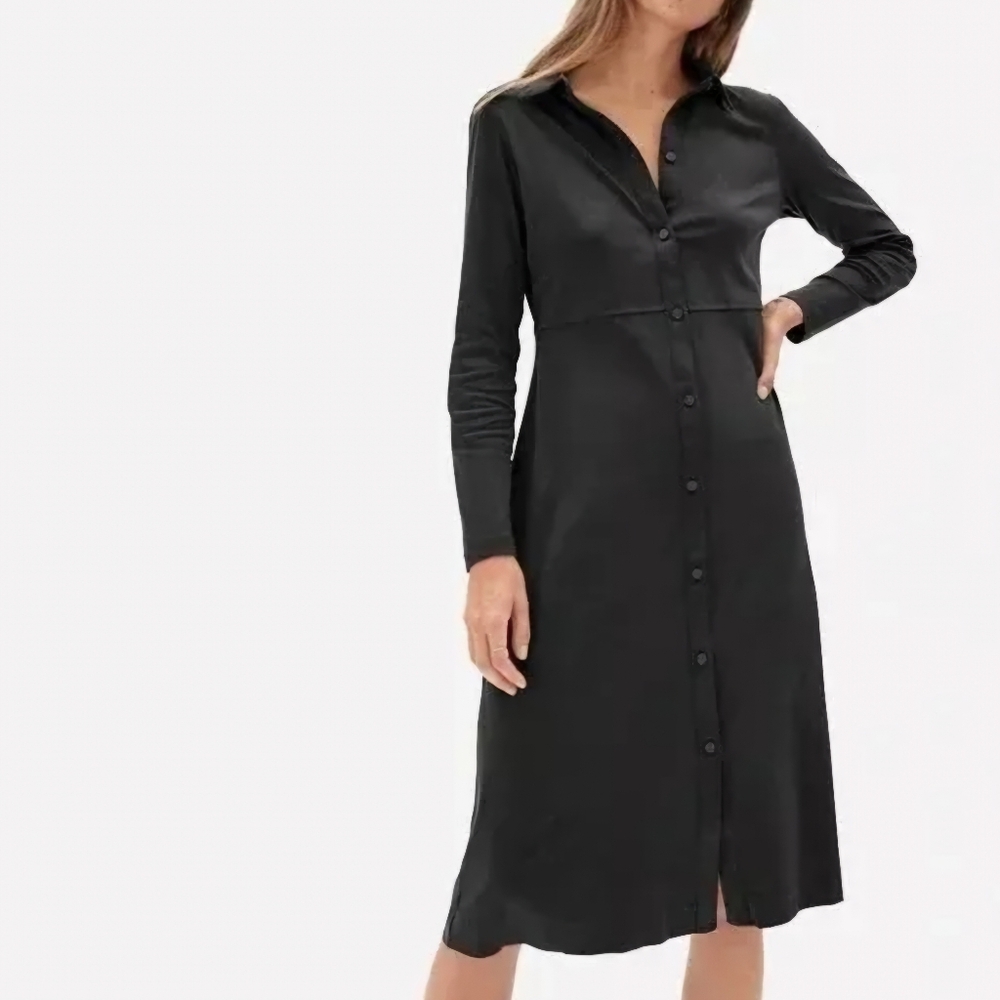 Everlane Black Long Sleeve Midi Shirt Dress M Medium Cotton Knit Women's Fall